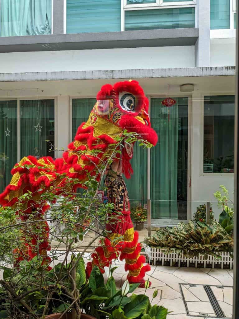 Dragon for Chinese New Year